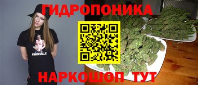 СК Чебоксары