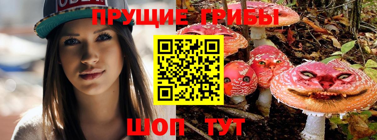 Галлюциногенные грибы Psilocybe  Псилоцибиновые грибы Magic Shrooms  Вход с VPN  Тимашёвск 